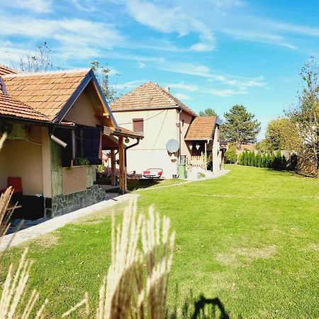 Dvor Villa Donja Toponica Luaran gambar