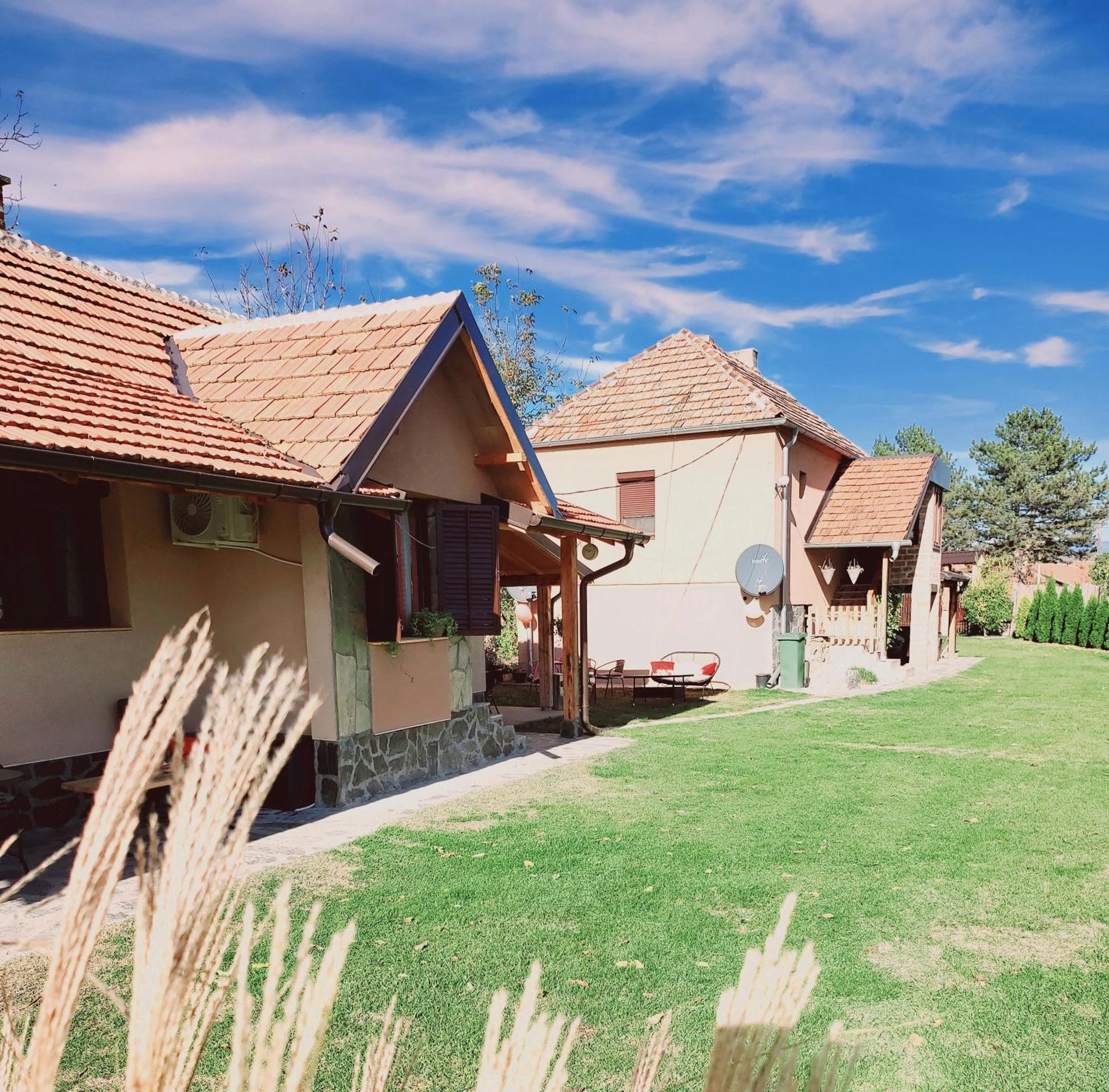 Dvor Villa Donja Toponica Luaran gambar